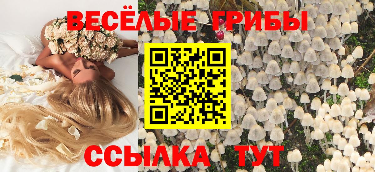 Волжск  Псилоцибиновые грибы MAGIC MUSHROOMS  Вход с VPN 